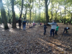 free-forest-school-activity-for-primary-school-streatham-common-lambeth-3
