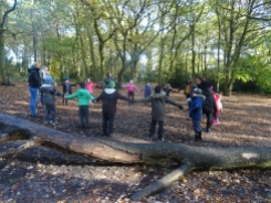 free-forest-school-activity-for-primary-school-streatham-common-lambeth-5